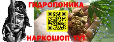 круглые Лесосибирск