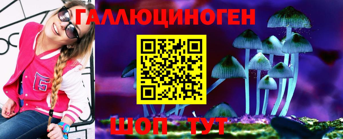 Псилоцибиновые грибы GOLDEN TEACHER Балтийск