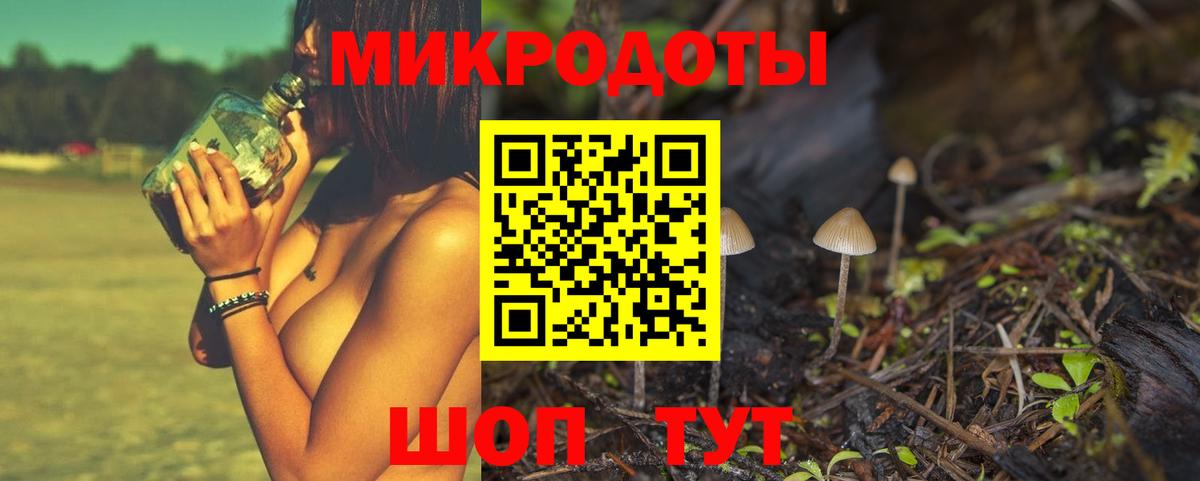 Балтийск  Псилоцибиновые грибы Cubensis  Вход с VPN 